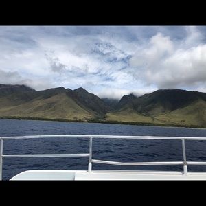 Meet your Posher, Ella